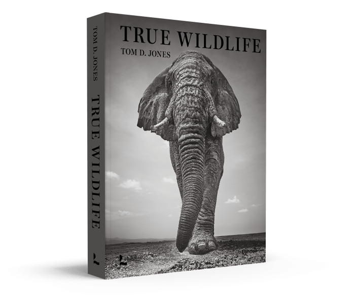 Foreword by Steve McCurry